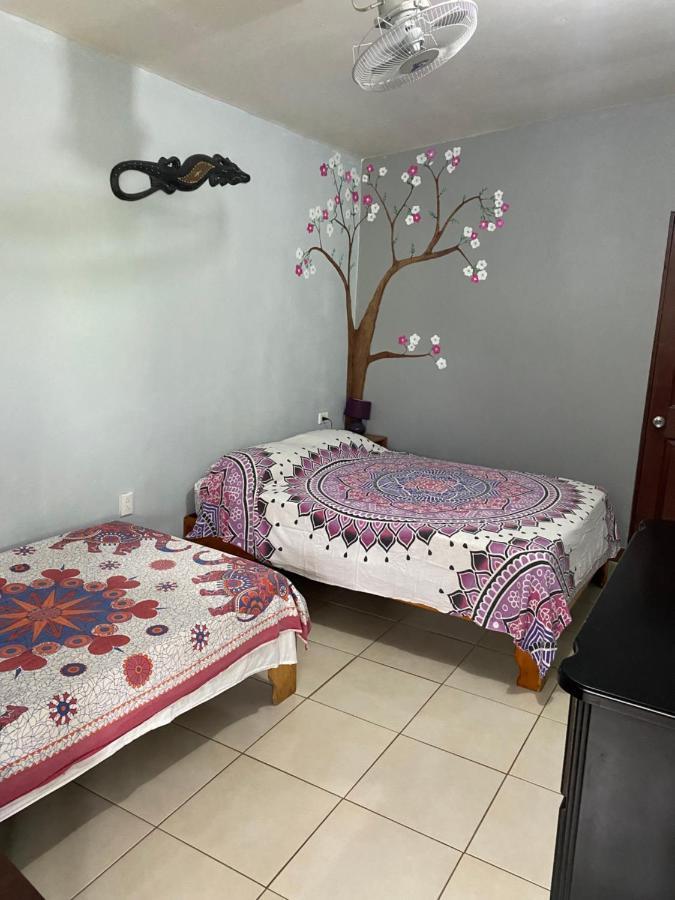 Blue Morpho House B&B Manuel Antonio Extérieur photo