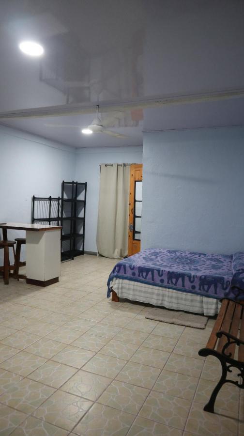 Blue Morpho House B&B Manuel Antonio Extérieur photo