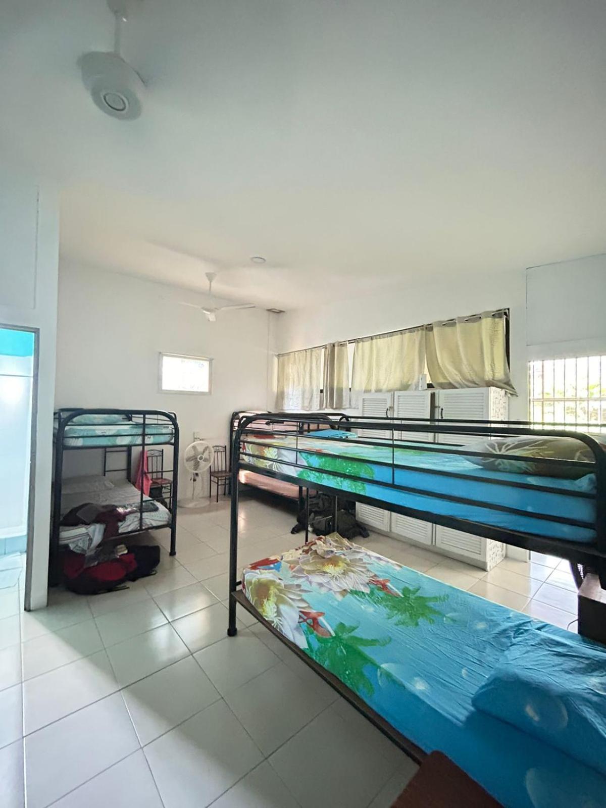 Blue Morpho House B&B Manuel Antonio Extérieur photo